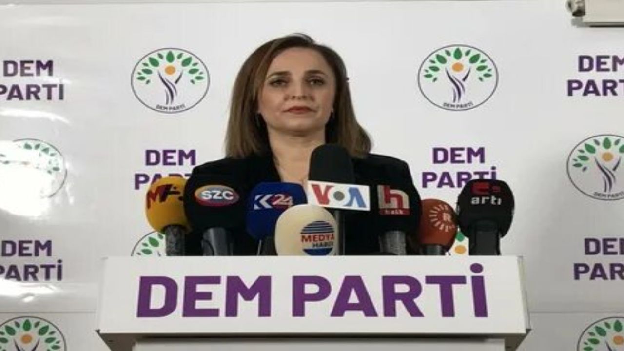 DEM Parti'si aday çıkaracakları illeri açıkladı