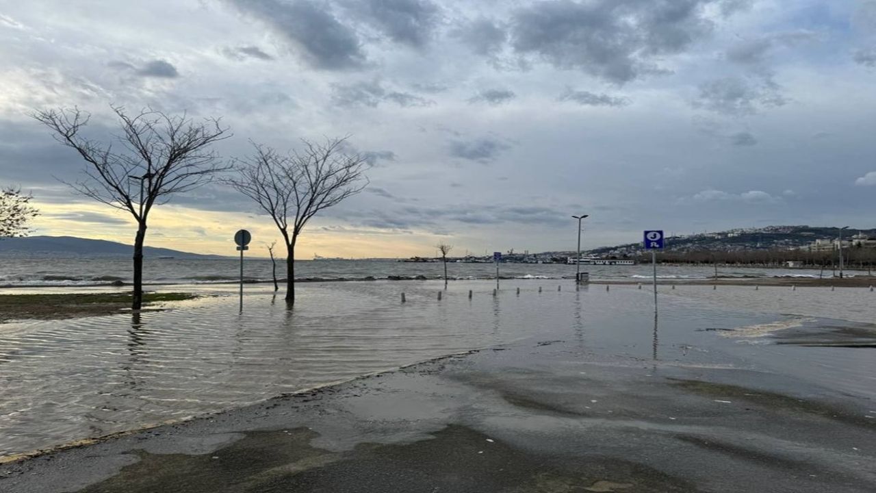 Kocaeli'yi fırtına vurdu: Deniz taşçı ağaçlar devrildi fırtına kentte günlük yaşamı zorlaştırdı