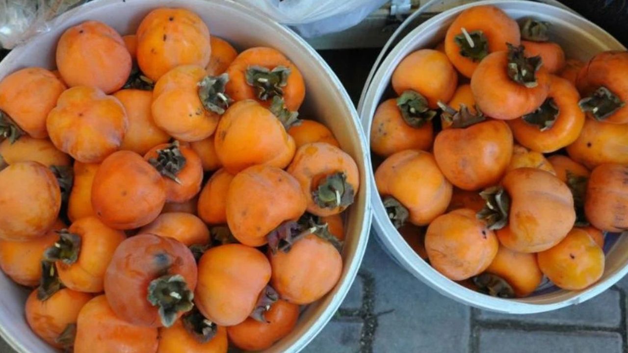 Yaşı değil kurusu şifa saçıyormuş! Marketlerde yok satıyor: Vücuda binbir faydası var