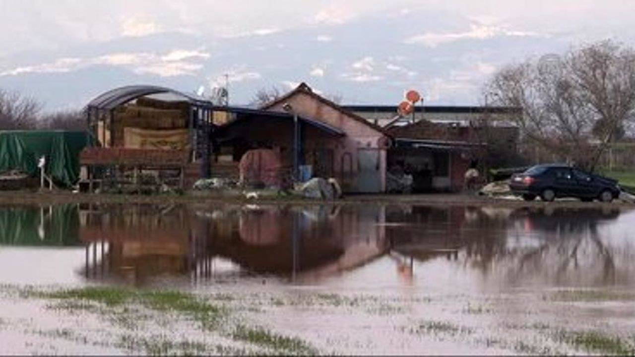 Asi Nehri taştı tarım arazilerini sular altında bıraktı