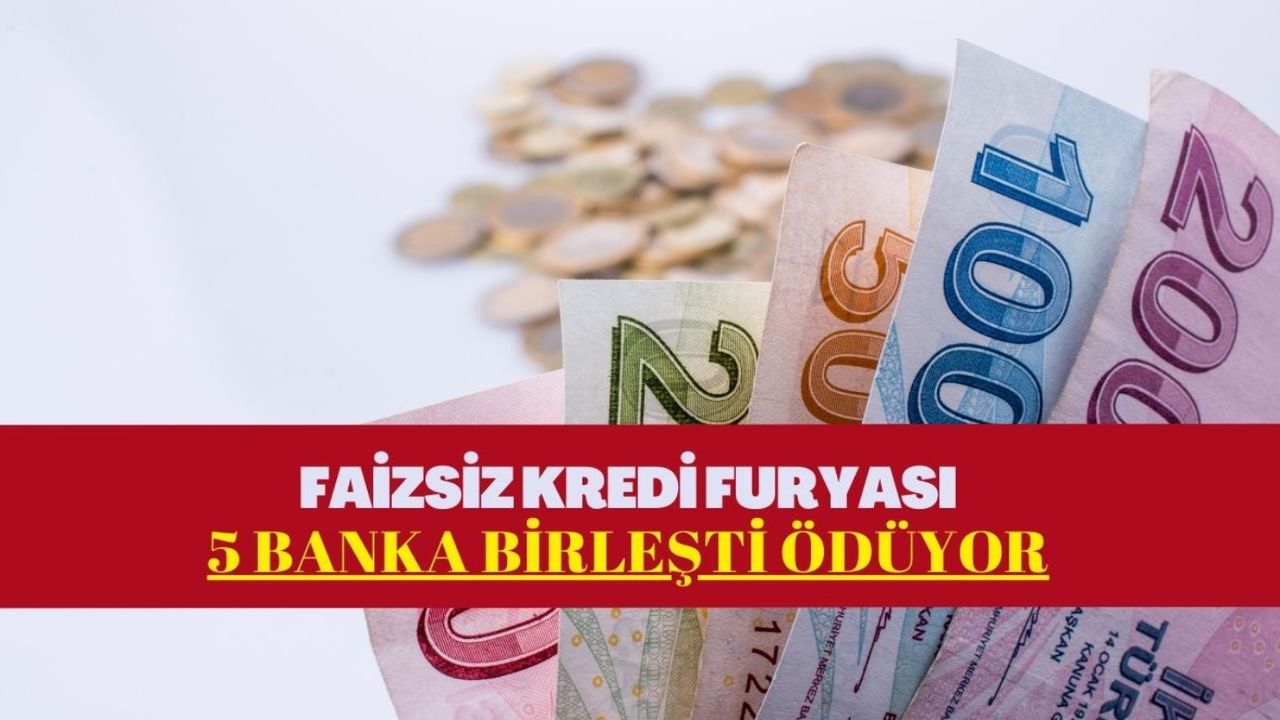 Faizsiz kredi furyası! 5 banka birleşti her gelene ödüyor