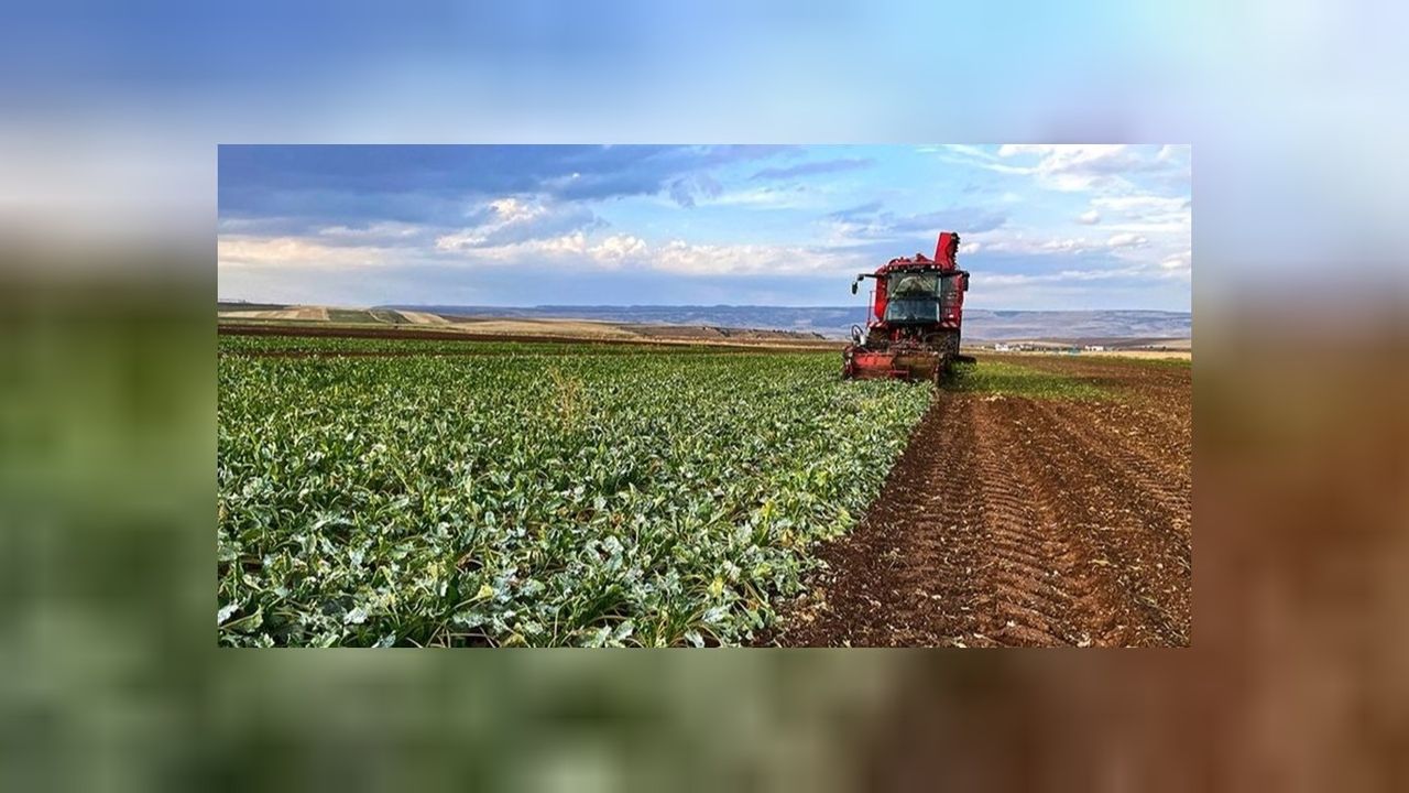 Fransa'dan sonra şimdi de İspanya'da çiftçilerin protestosu başladı