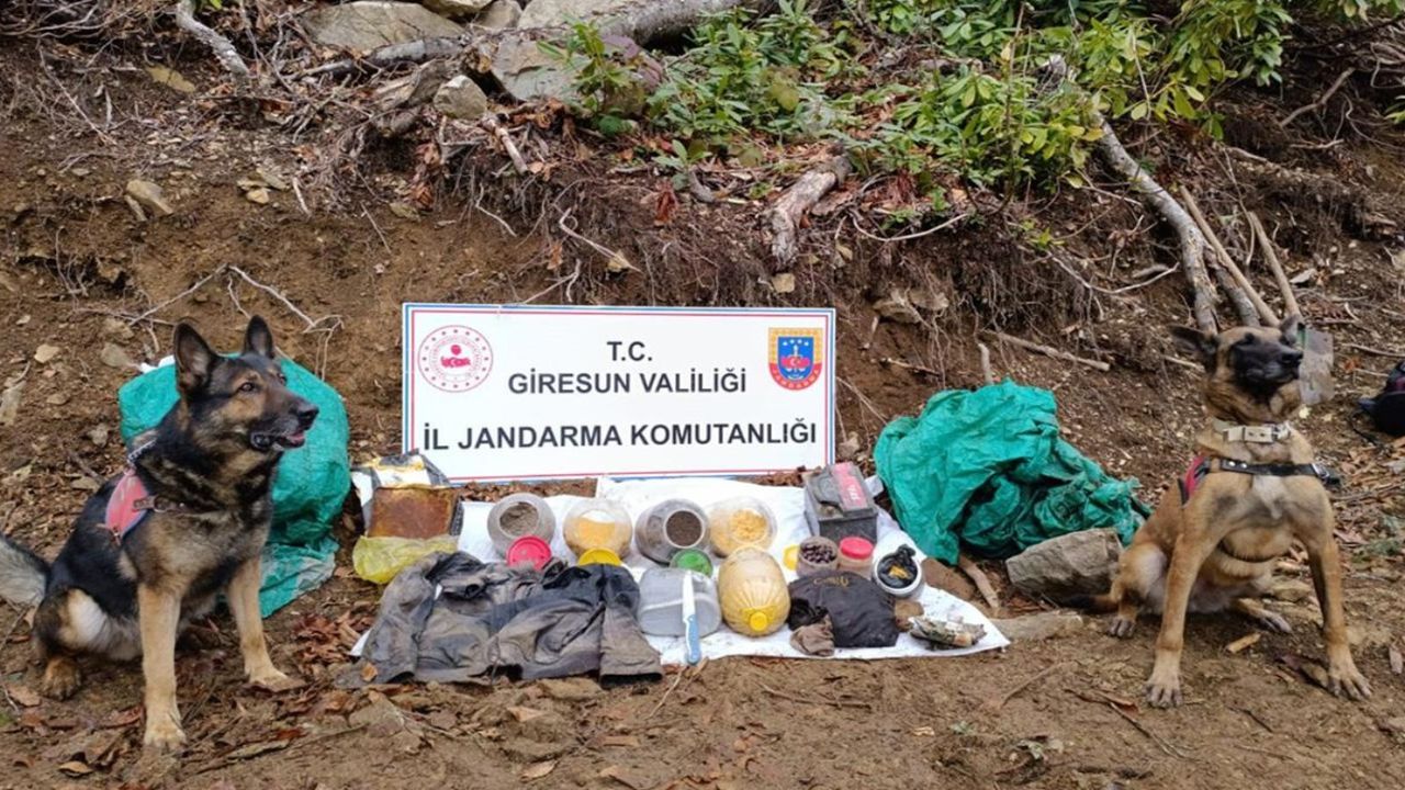 Giresun'da terör örgütü sığınağı bulundu