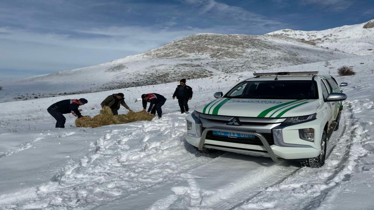 Jandarma Kahramanmaraş'ta yaban hayvanları için araziye yem bıraktı