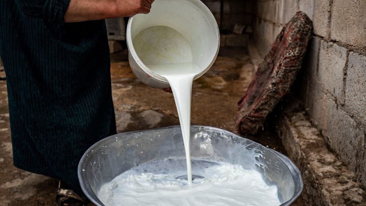 O tarihten önce süt, peynir, yoğurt stoğu yapın! Okkalı zam geliyor