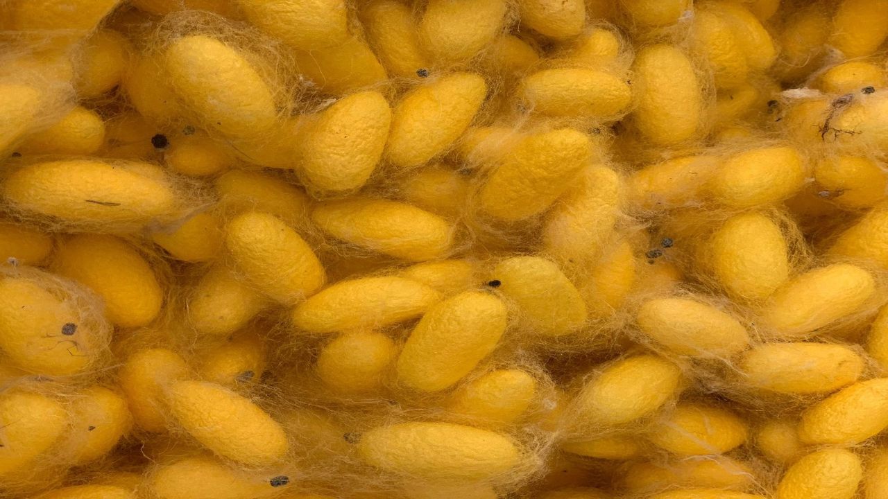 Ağdayı bitiriyor, epilasyona gerek kalmıyor! Stoklarda tükenmeye başlayan bu yağ kılların kökünü kurutacak