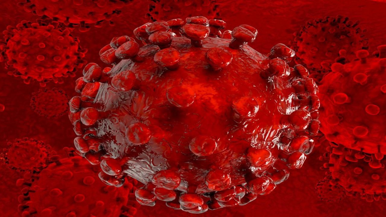 Ardı sıra gelen virüslere karşı bu çayları tüketen zırh gibi korunuyor!