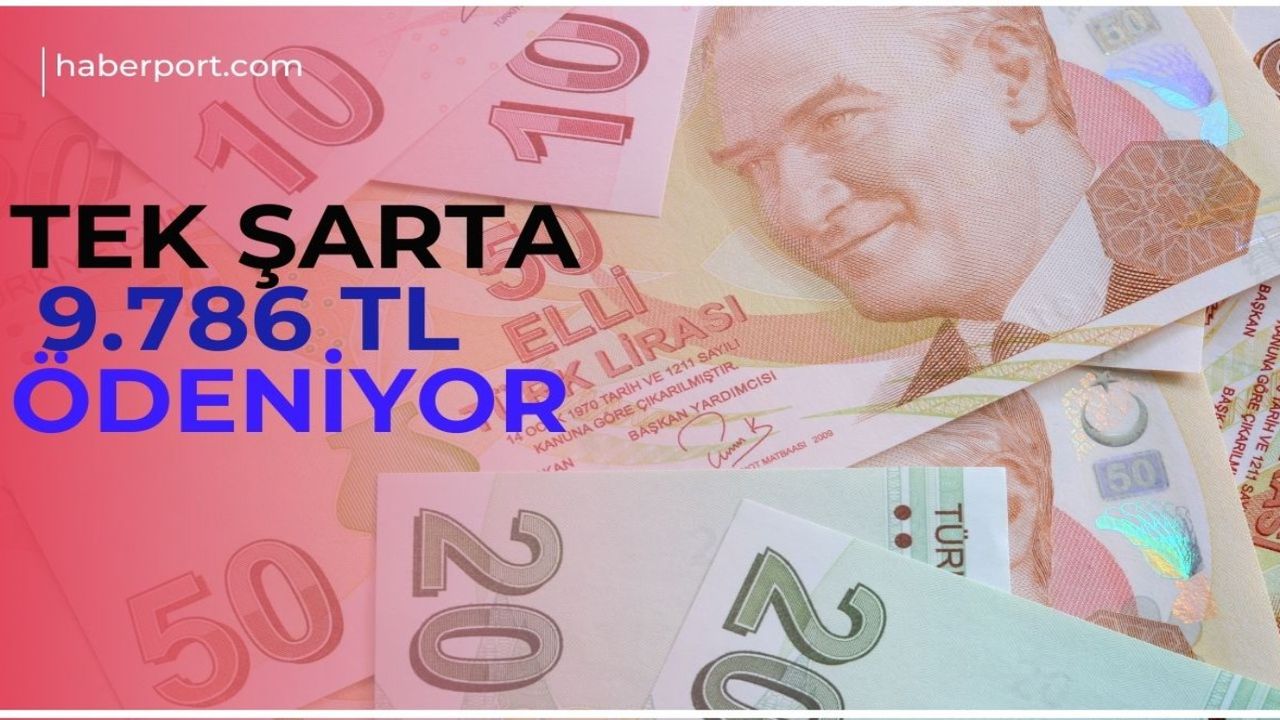 Bankalardan Şubat atağı! 32 güne 9.786 TL sığdırdılar