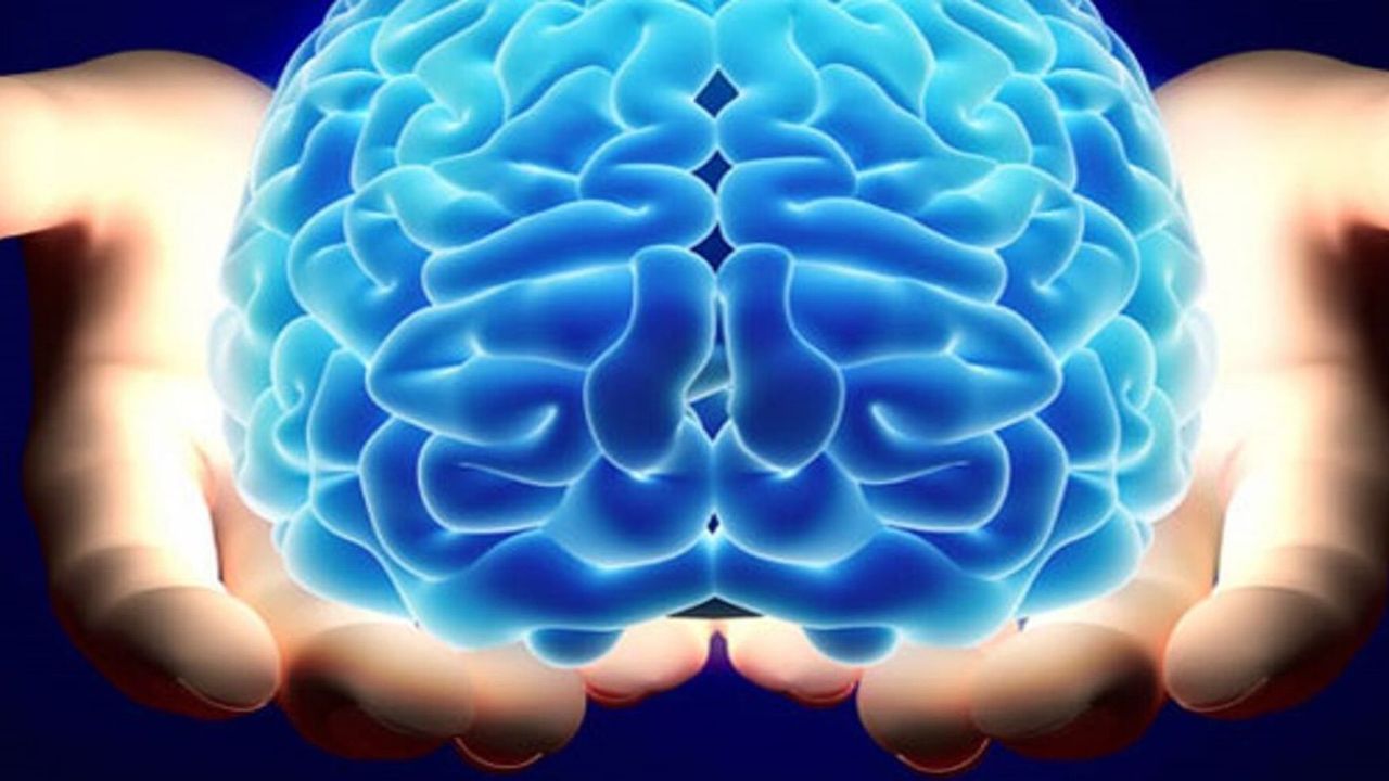 Bilim insanları ilk kez işlevsel insan beyin dokusunu 3D baskıyla üretti!