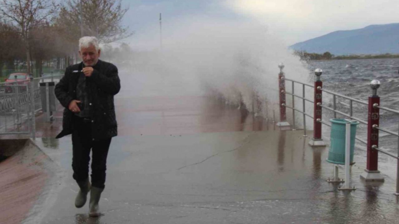 Fiyatı füze gibi yükseldi! Gören duyan ne yapacağını şaşırdı