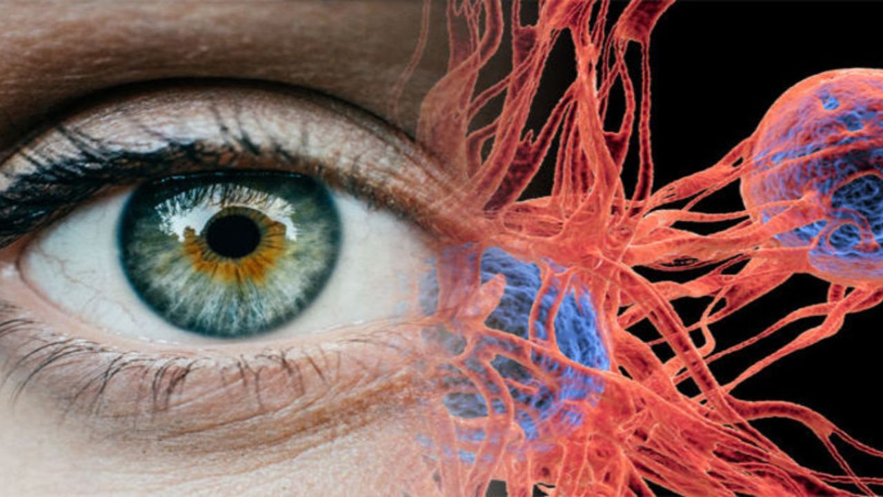 Gözde sinek uçuşması ve ışık çakması hiç bu kadar tehlikeli olmamıştı! Peki hangi hastalığın habercisi olabilir?