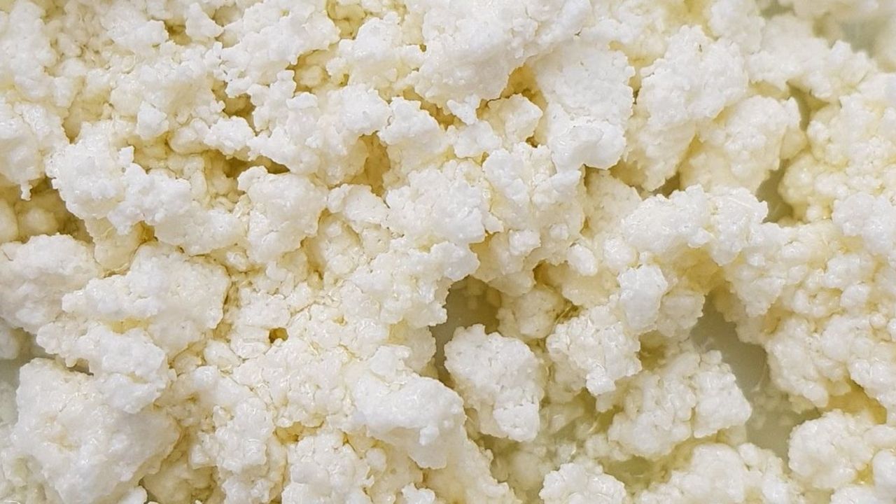 İçindeki şifalı madde sayesinde hastalıklara karşı koruyor! Uzman doktorlar açıkladı: Her gün tüketilmeli