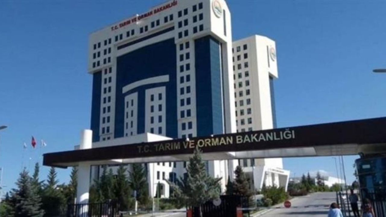 İş arayanlara büyük fırsat! KPSS'li KPSS'siz tam 7000 personel alımı başvuruları açıldı