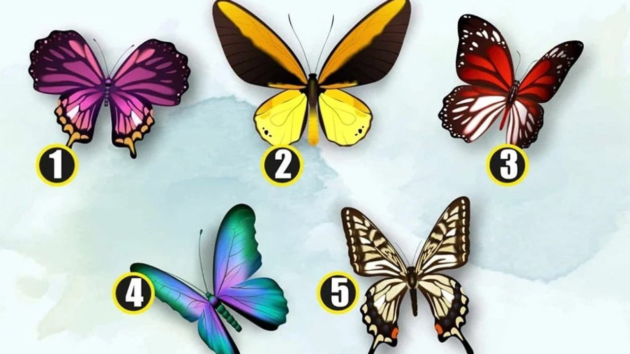 Kelebeklerin Gizli Mesajı! Seçtiğiniz Kelebeğe Göre Karakterinizin En Belirgin Özelliğinizi Ortaya Çıkarıyor!