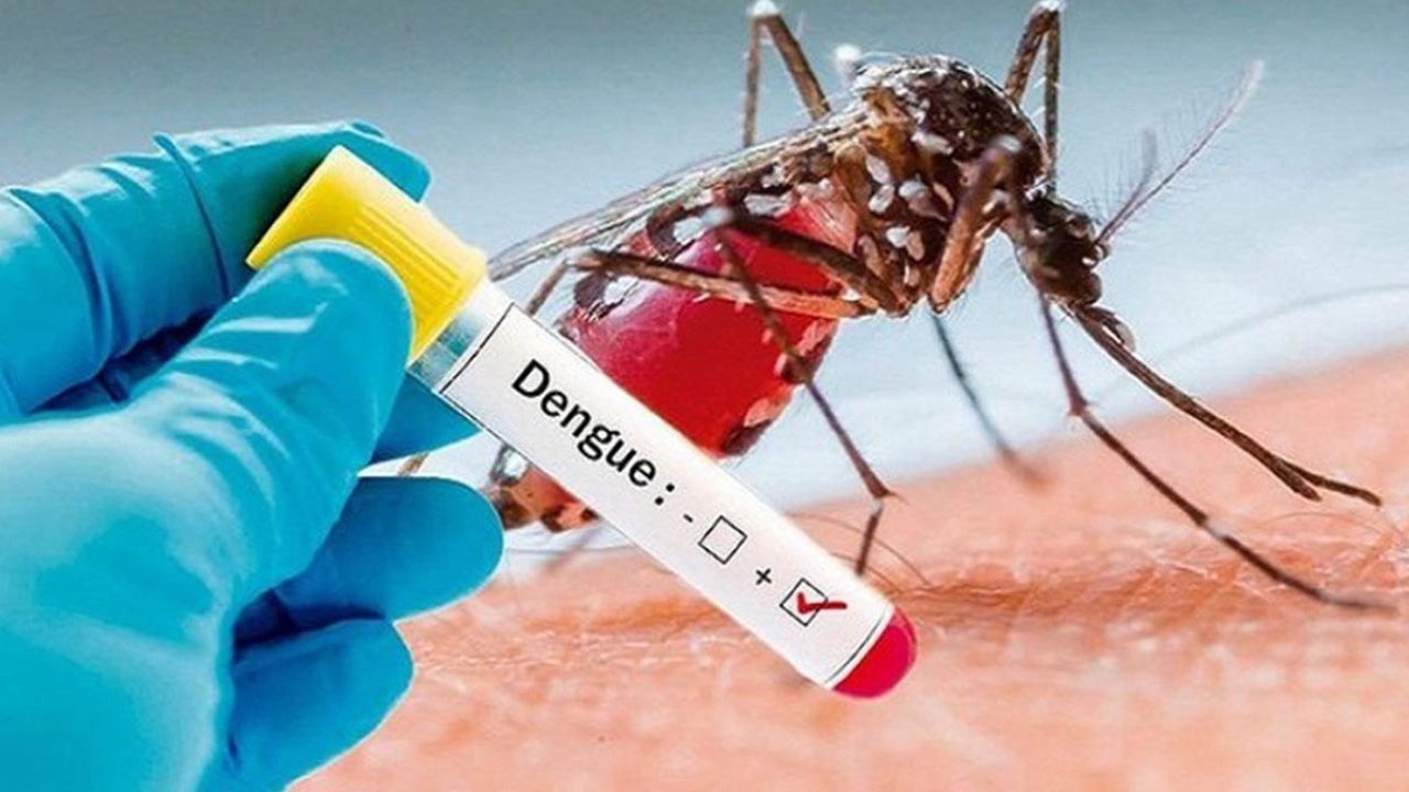 Tayland’da dang humması dehşeti! Salgın kontrolden çıktı! 20 bölge karantinada!