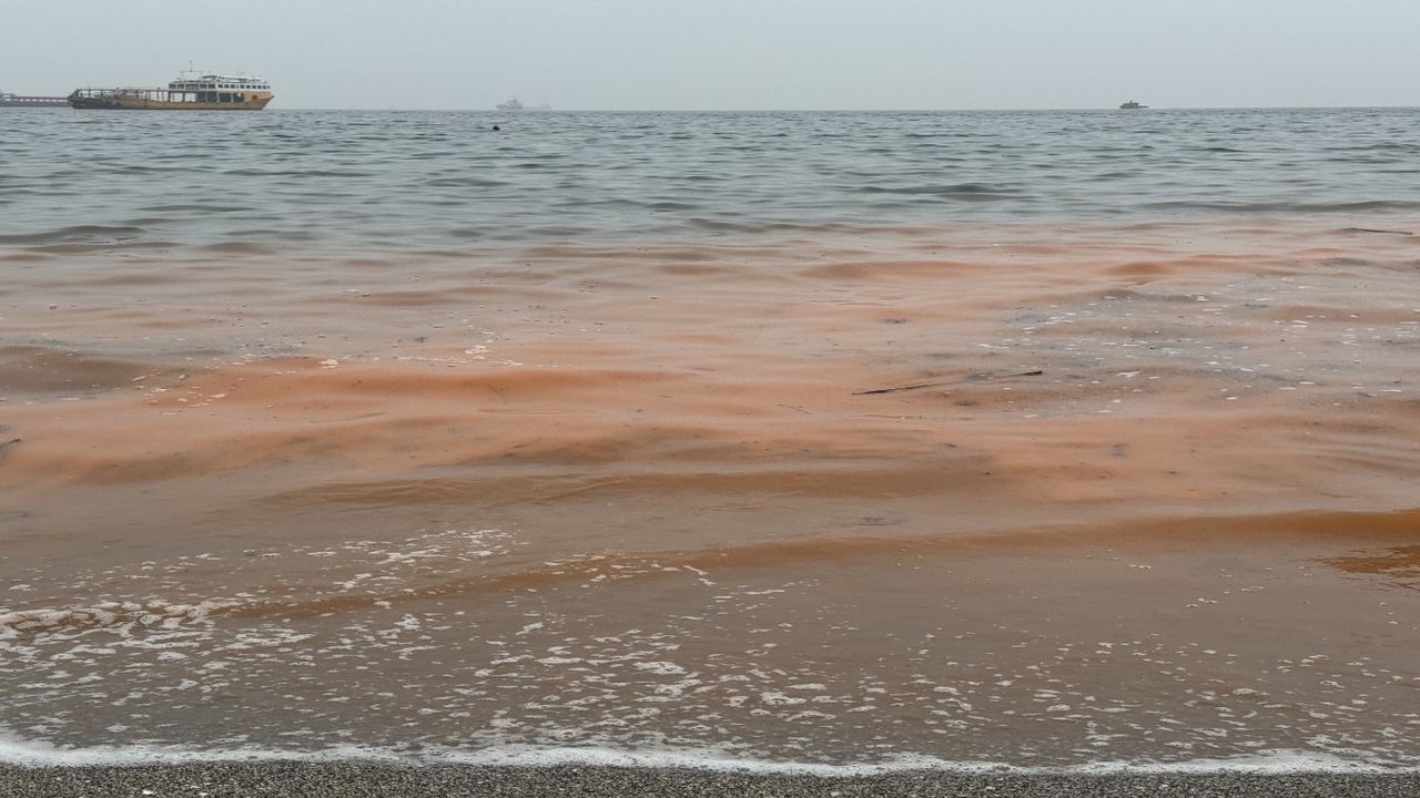 Tekirdağ'da denizde şaşırtıcı değişim: Plankton çoğalışı renk değişikliğine yol açtı