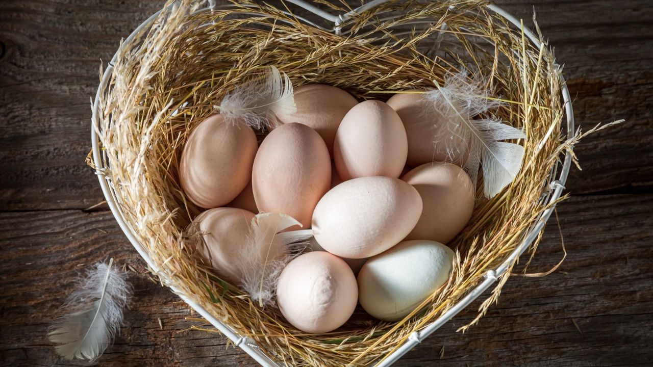 Uygun fiyata yumurta arayanlar müjde! O markette yüzde 18 indirimli satışta