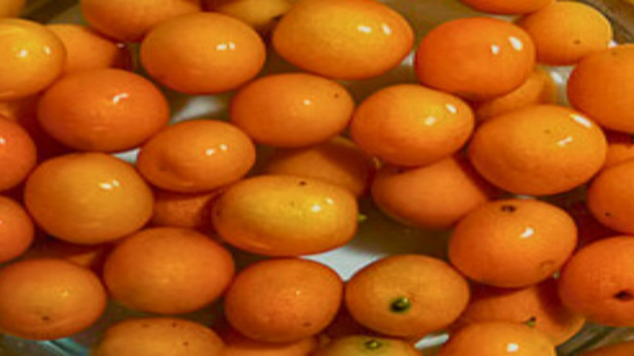 Yeni trend "altın mandalina!" Çinli kadınlar her gün çerez gibi tüketiyor! Cildi 10 yaş gençleştiriyor, sivilce ve akneden eser bırakmıyor