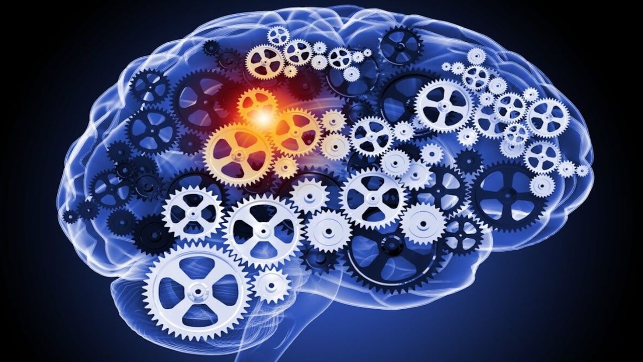 Beyni motor gibi çalıştırıyor, tüketenler hastane yüzü görmüyor! İşte beynin süper yakıtı o besin