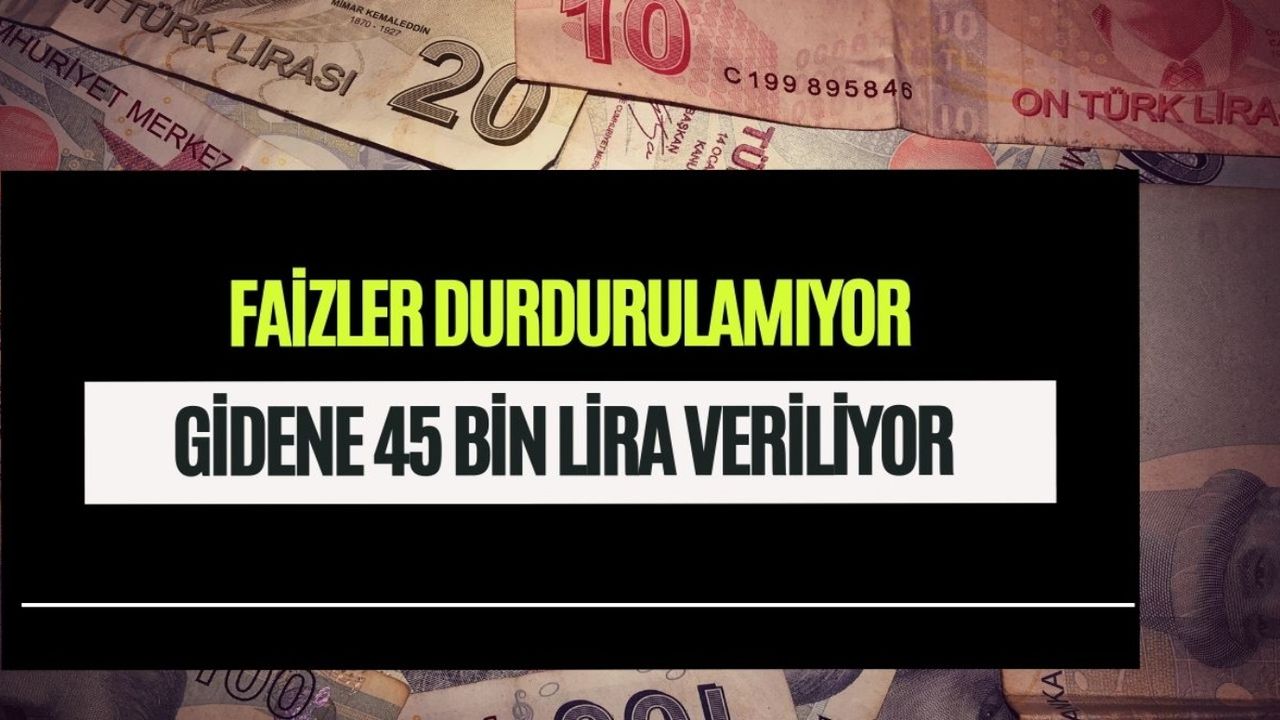 Faizler uçtu kaçtı durdurulamıyor! Her yatırana 45 bin liradan fazla ödeniyor