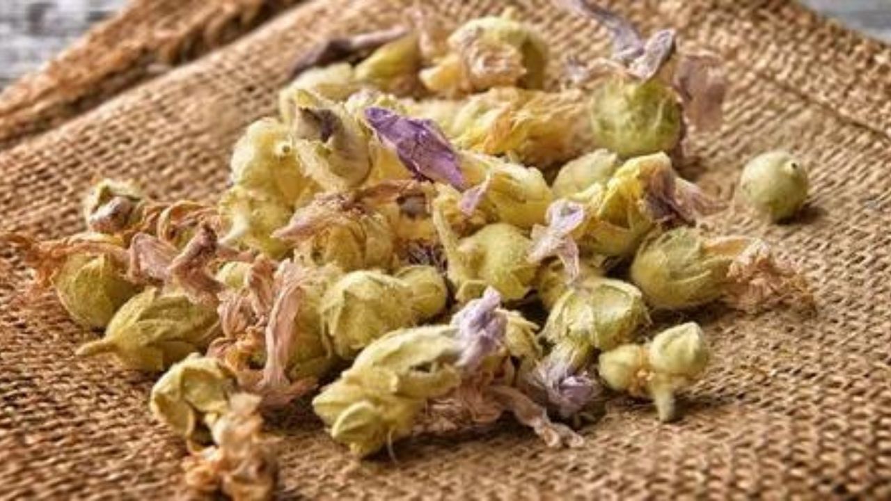 Her bir yaprağı panzehir! Bir yudumuyla baş ağrısını şıp diye kesiyor, öksürük anında bitiyor