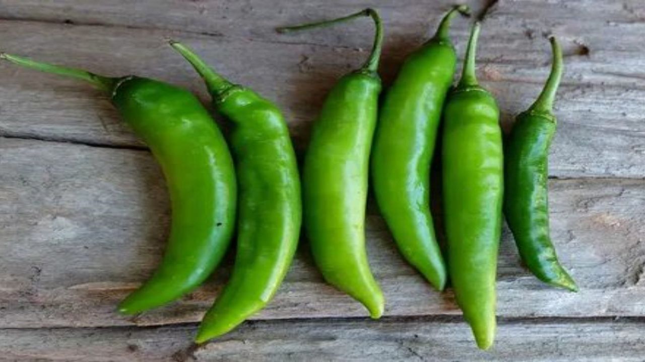 Her sabah bir yeşil biber yemek vücuda bunu yapıyor! Etkisine inanamayacaksınız