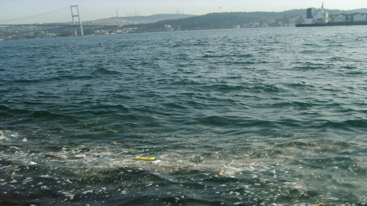 Marmara Denizi’nde büyük tehlike! Sıcaklık seviyesi yükseldi