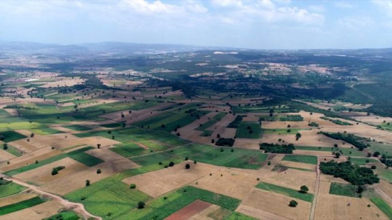 Yozgat’ta tam 14 arazi gümüş tepsi üzerinde sahiplerini bekliyor! 32 bin TL’ si olan o köye akın edecek