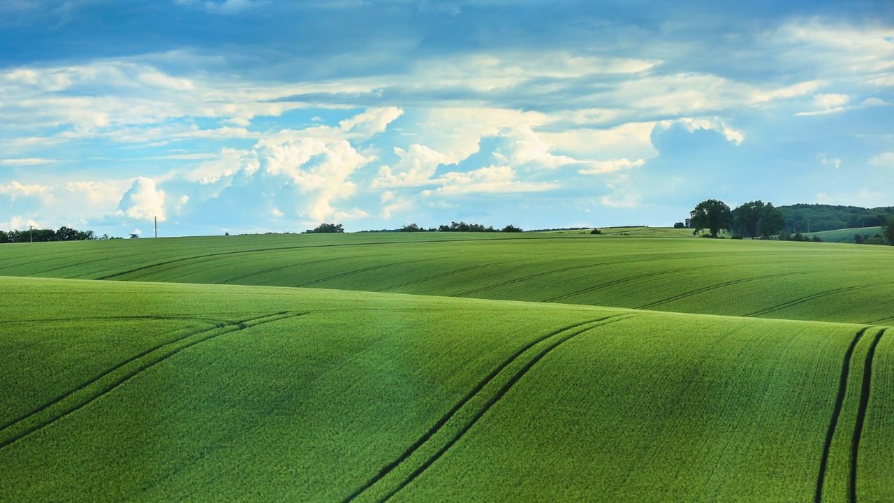 Kocaeli ve Bir Şehirde 47 Arazi ve Arsa Şimdi Taksitle Satılıyor! İşte Milli Emlak'tan Kaçırılmayacak Fırsatlar
