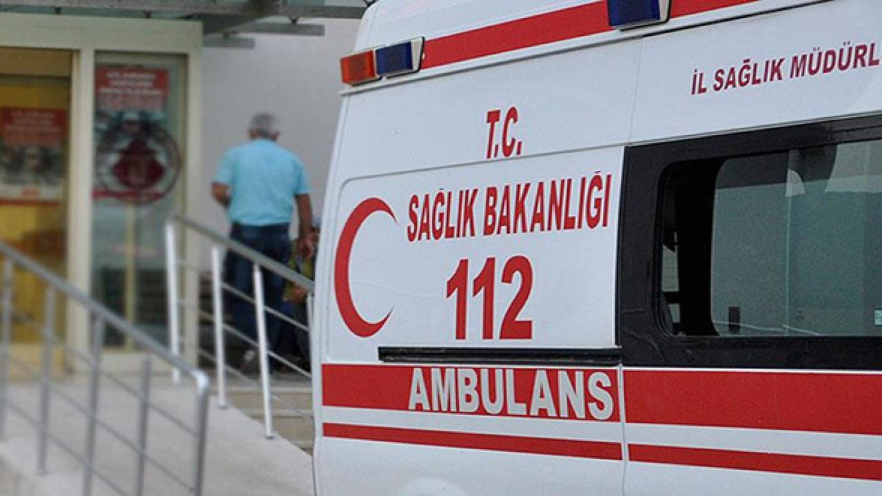 Bursa'da sokak köpeklerinin saldırısına uğrayan çocuklardan 2'si yaralandı