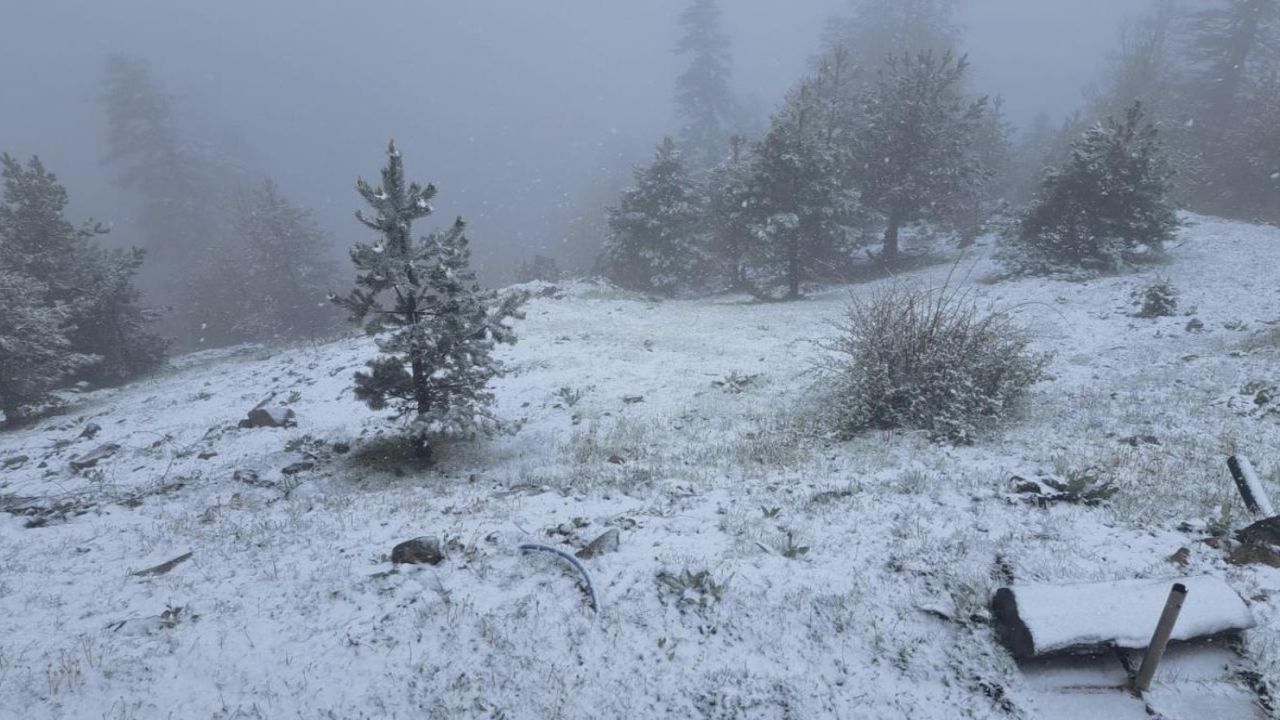  Mayıs ayında kar sürprizi: 7 şehirde yüksek kesimler beyaza büründü