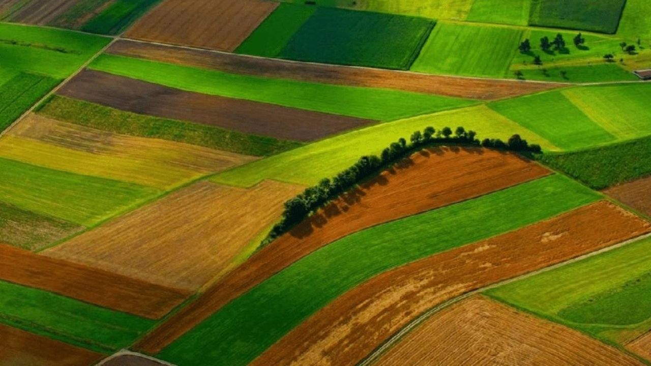 Milli Emlak’tan çerez fiyatına arsa müjdesi! Herkes patır patır arsa sahibi olacak