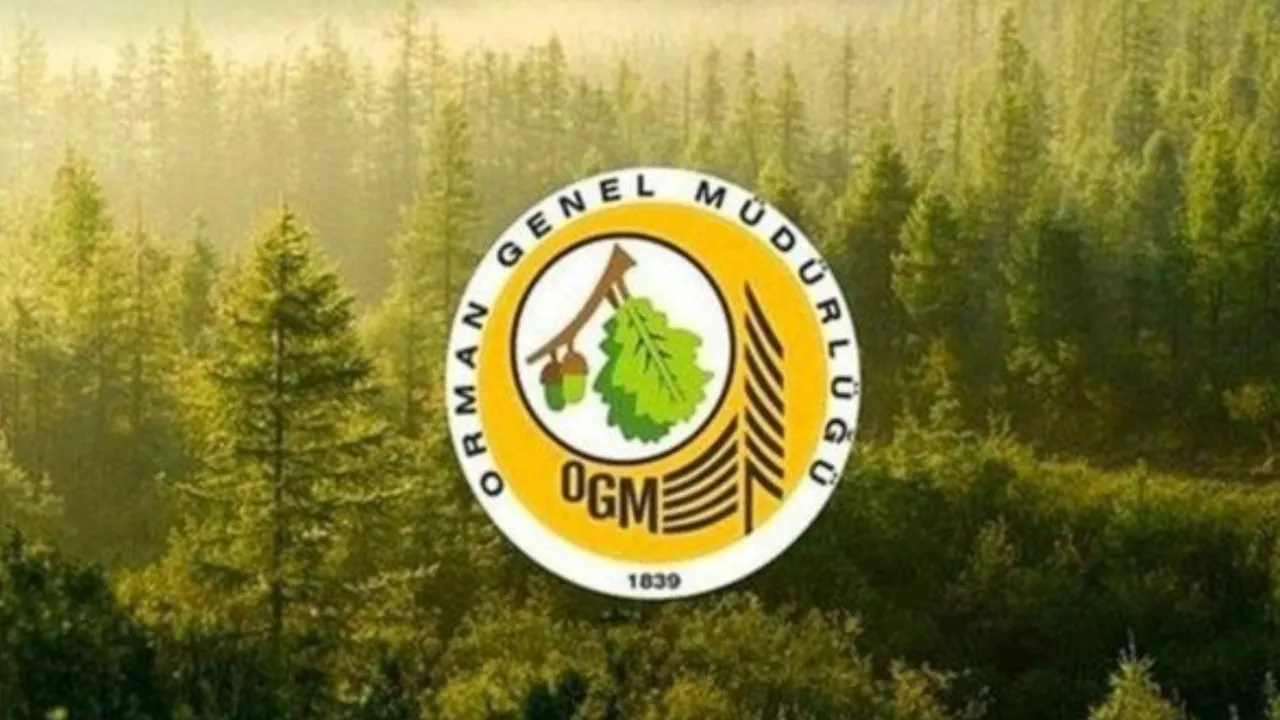Orman Genel Müdürlüğü personel alımı! KPSS şartı yok, kurayla alınacak