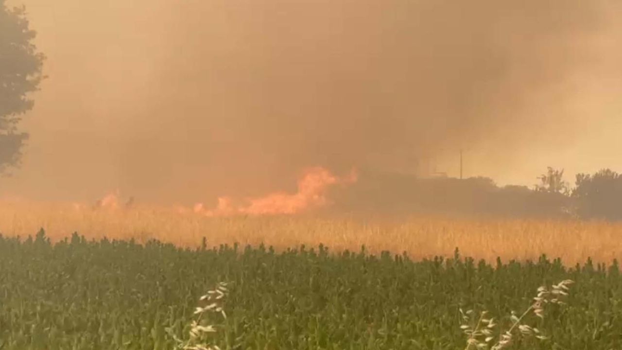 3 il için alarm! İzmir, Manisa ve Çanakkale'de orman yangını