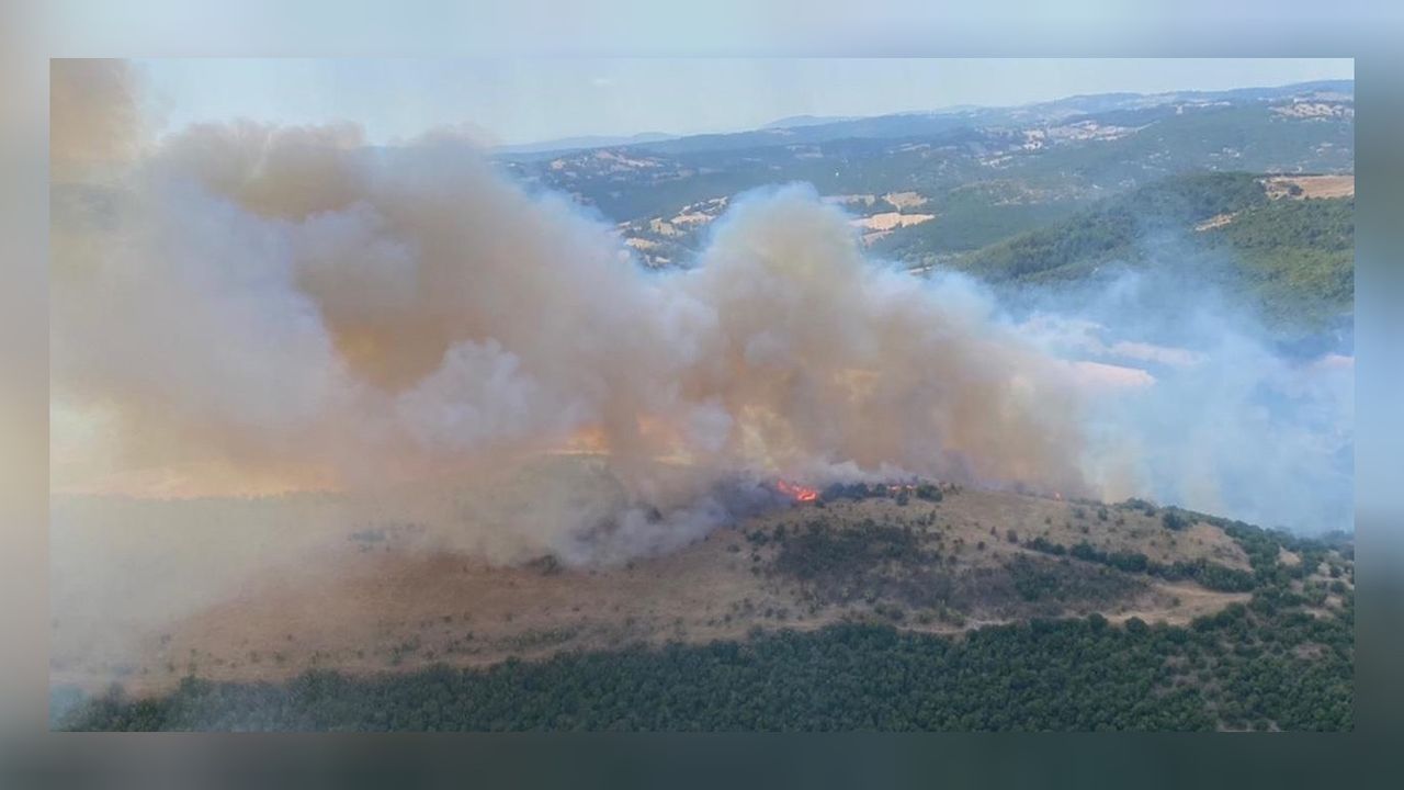 Balıkesir’de başlayan yangın ağaçlandırma sahasına sıçradı! 