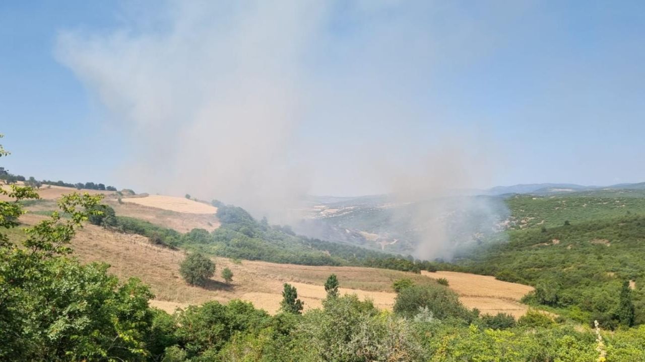 Balıkesir’de orman yangını! Ekipler müdahale ediyor