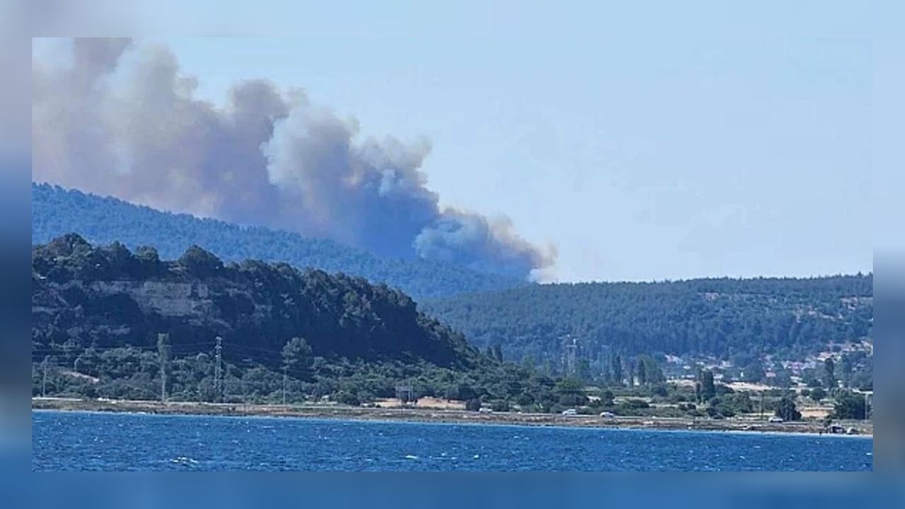 Çanakkale'de yangın büyüdü! Köy tamamen tahliye ediliyor 