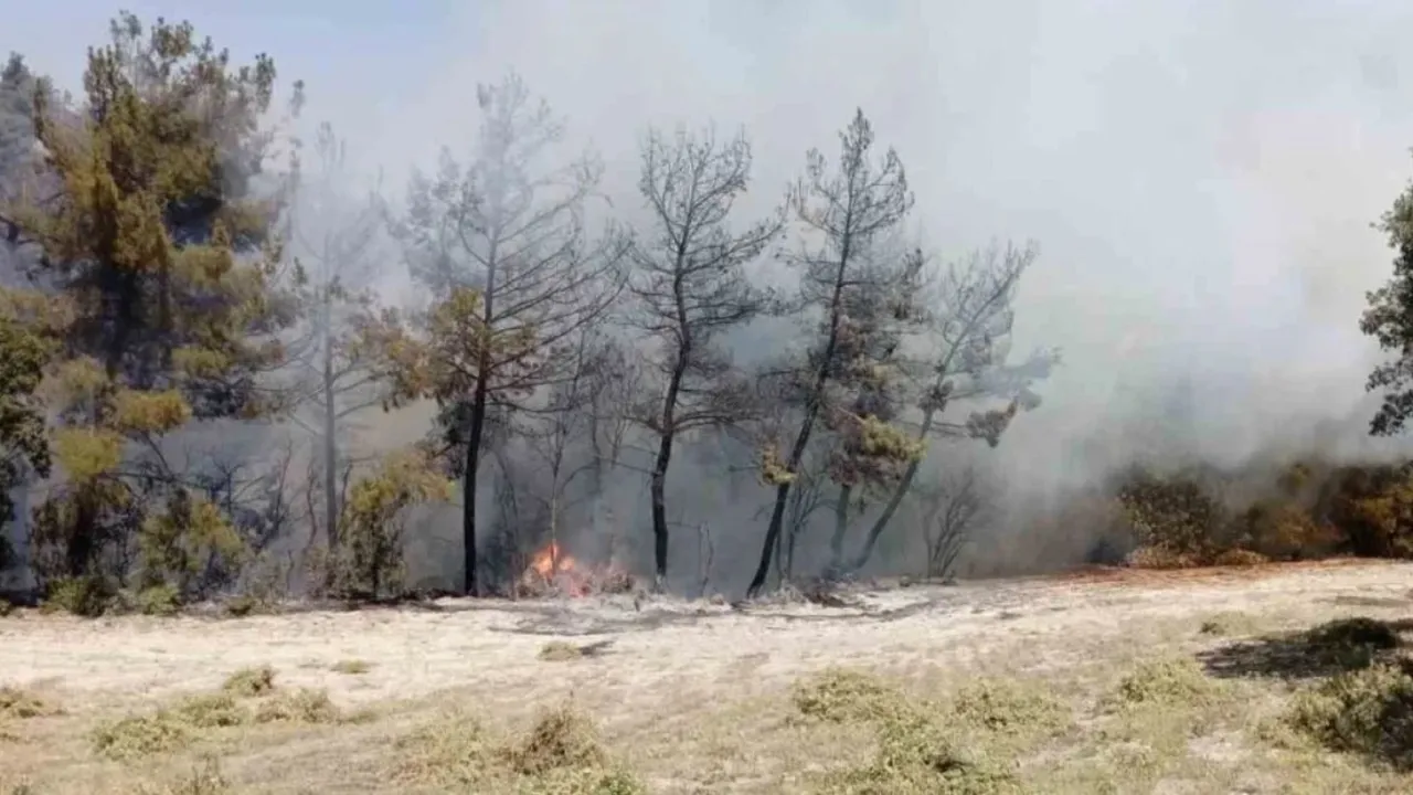 Denizli'nin Buldan ilçesinde orman yangını kontrol altına alınmaya çalışılıyor!