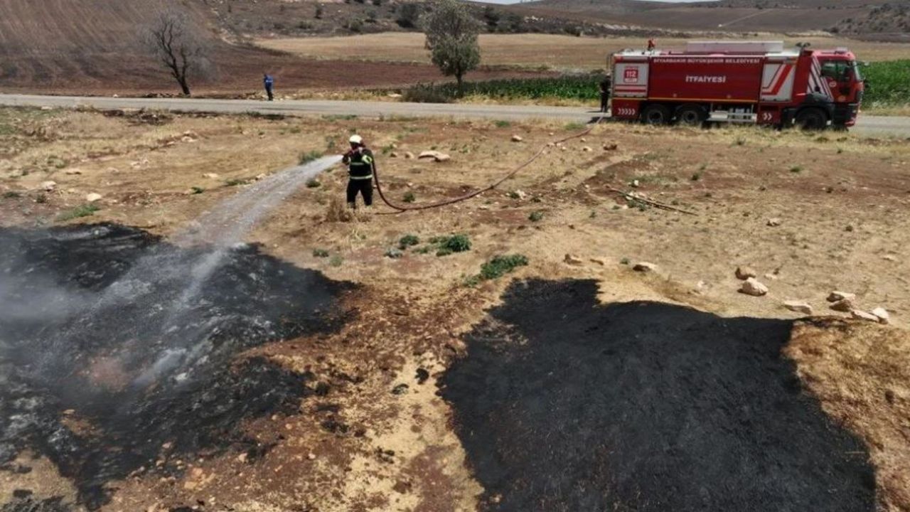 Diyarbakır-Mardin sınırındaki yangında yeni bilirkişi raporu: Yangın elektrik direği kaynaklı...