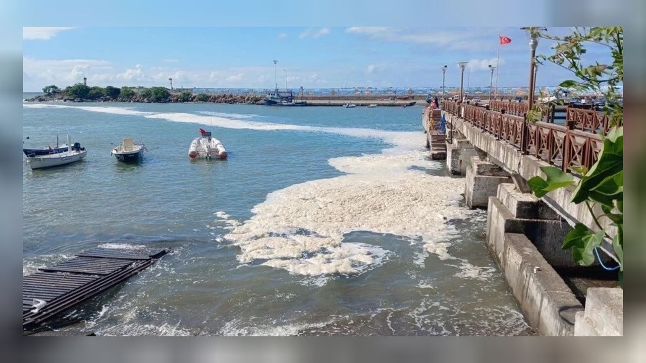 Düzce Valiliği'nden müsilaj açıklaması geldi: Numuneleri TÜBİTAK'a gönderdik 