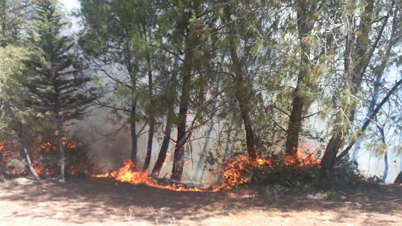 Feke'de orman yangını şoku! Havadan ve karadan müdahale ediliyor