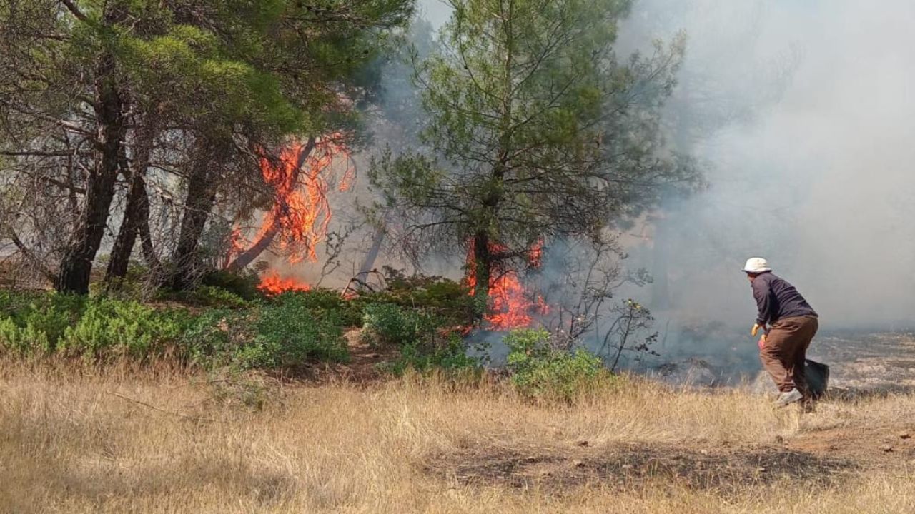 Gaziantep'te kırsalda çıkan orman yangınında 10 hektarlık alan zarar gördü