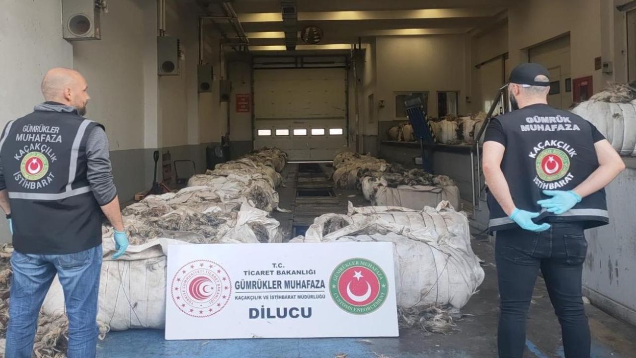 Gümrük Muhafaza ekiplerinden büyük uyuşturucu operasyonu! 357 kilogram uyuşturucu ele geçirildi