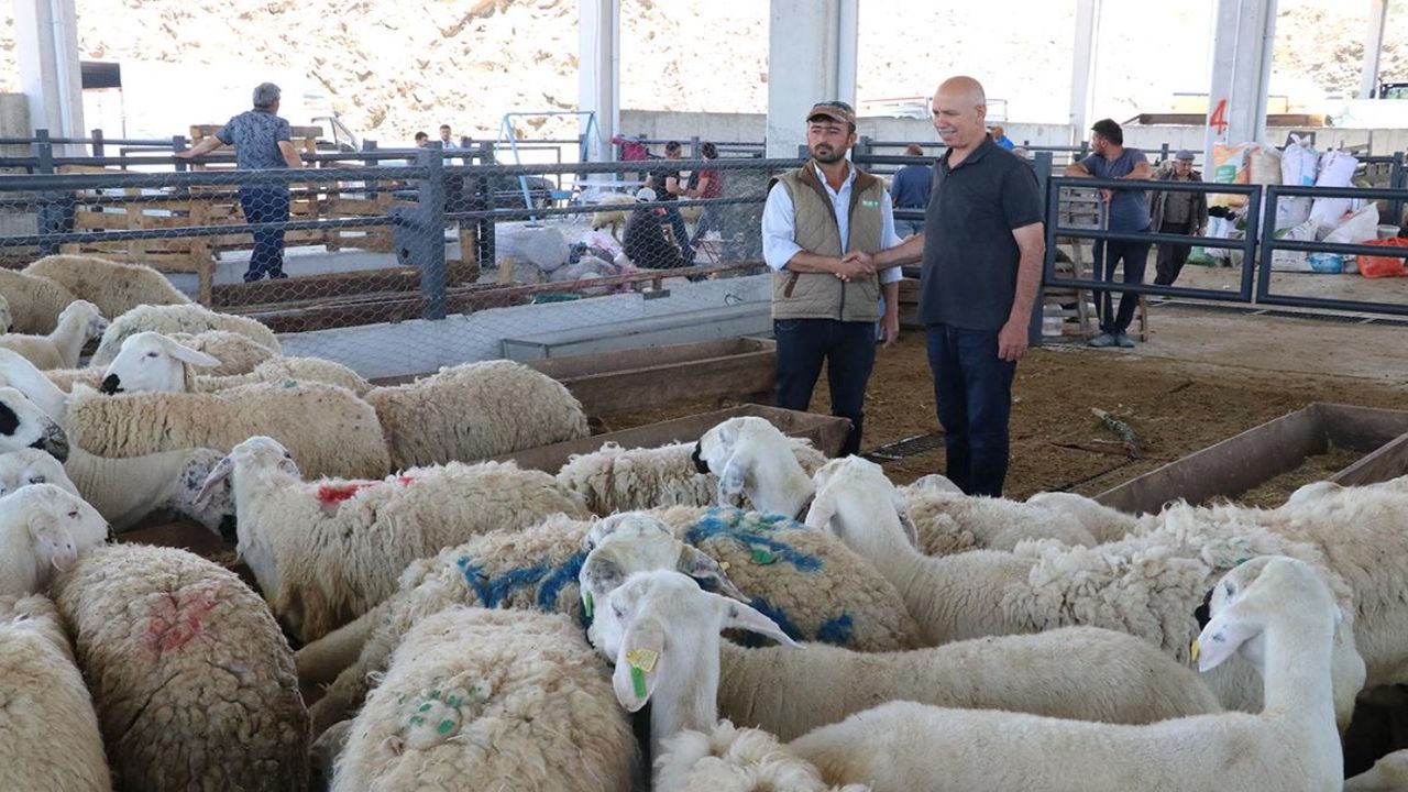 İç Anadolu'nun kurban pazarlarında arife günü hareketliliği