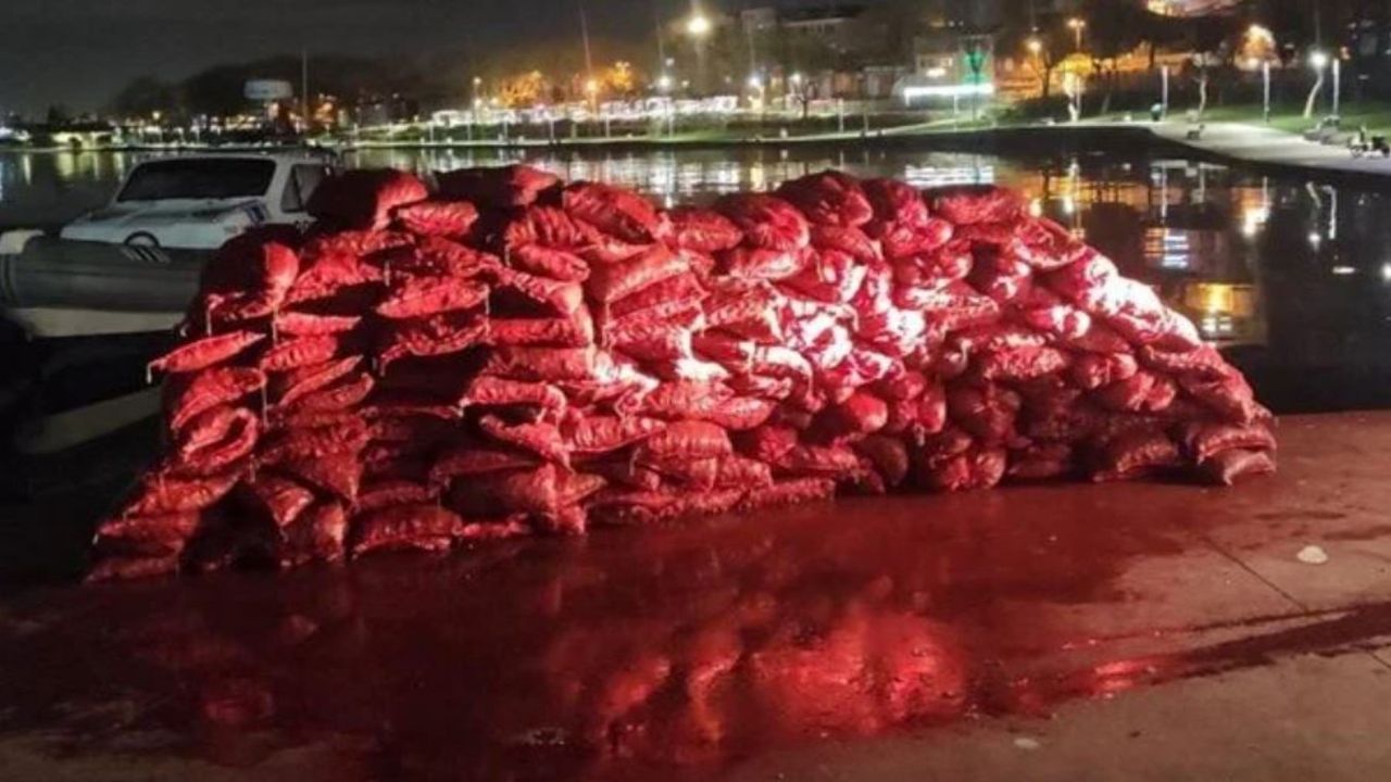 İstanbul'da kaçak midye operasyonu! 2 ton midye ele geçirildi...