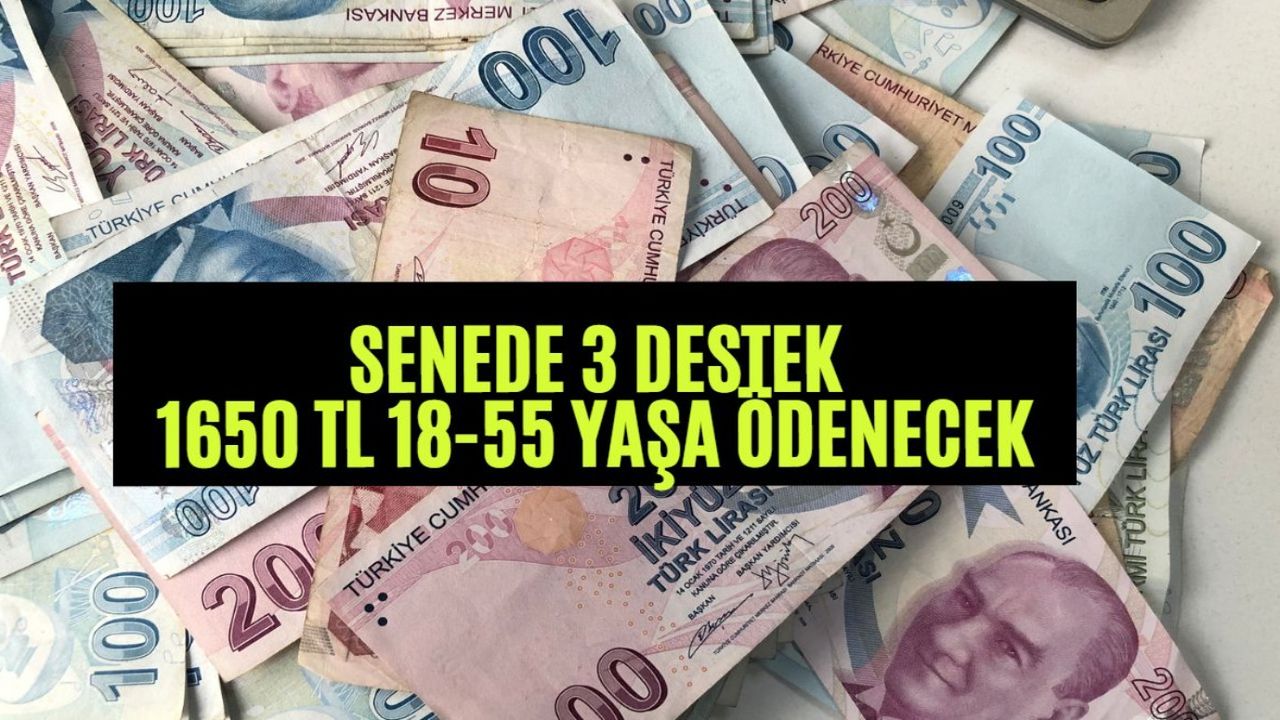 Sosyal Desteğe İŞKUR damgası! 18-55 yaş arası olmanız yeterli! 1650 TL 3 kerede ödeniyor