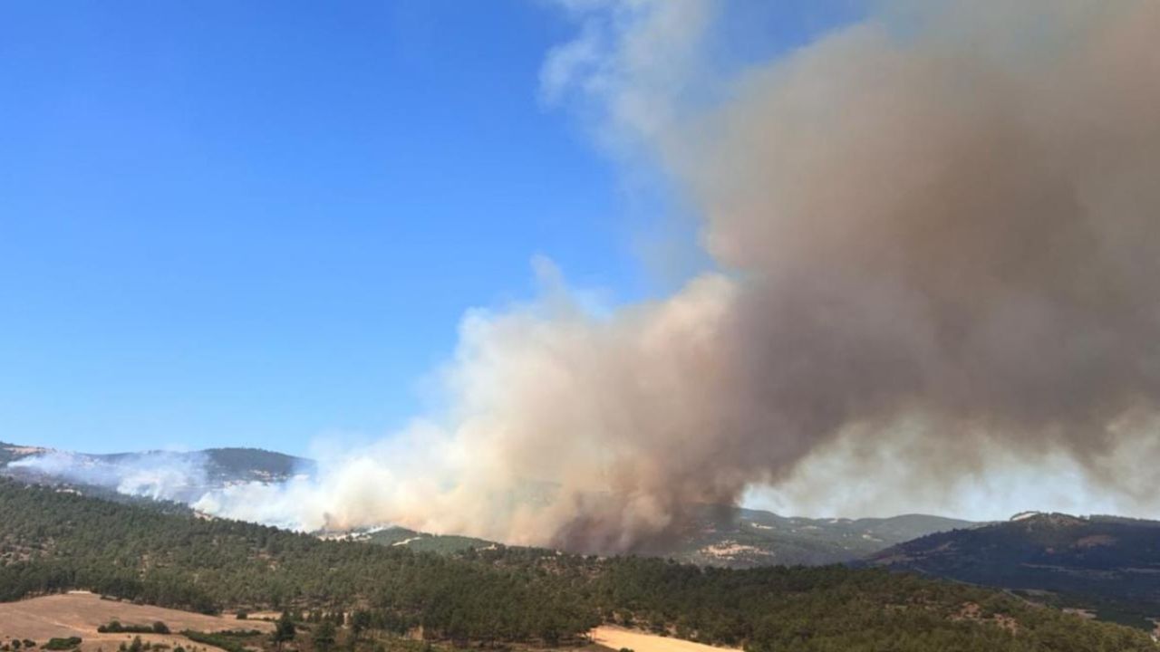 Temmuz ayına sıcak başlangıç! Batı ve Güney bölgelerinde orman yangını riski