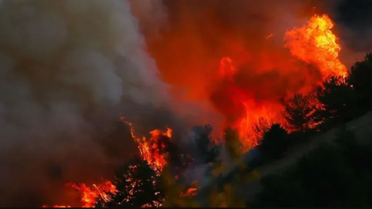 Türkiye'de sıcaklık rekoru kırıldı! Orman yangını korkusu sürüyor...