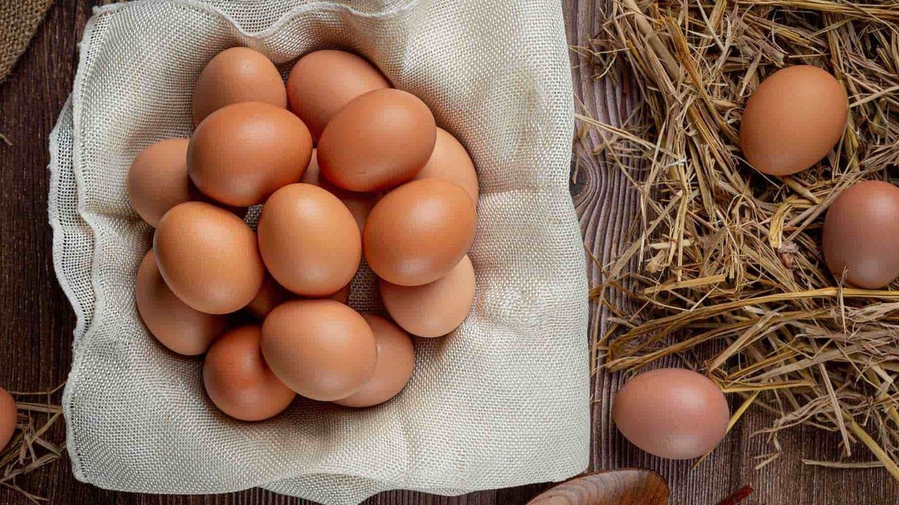 Yumurtanın organik mi sahte mi olduğunu gösteren tüyo! Eğer bu numaralar yazıyorsa...