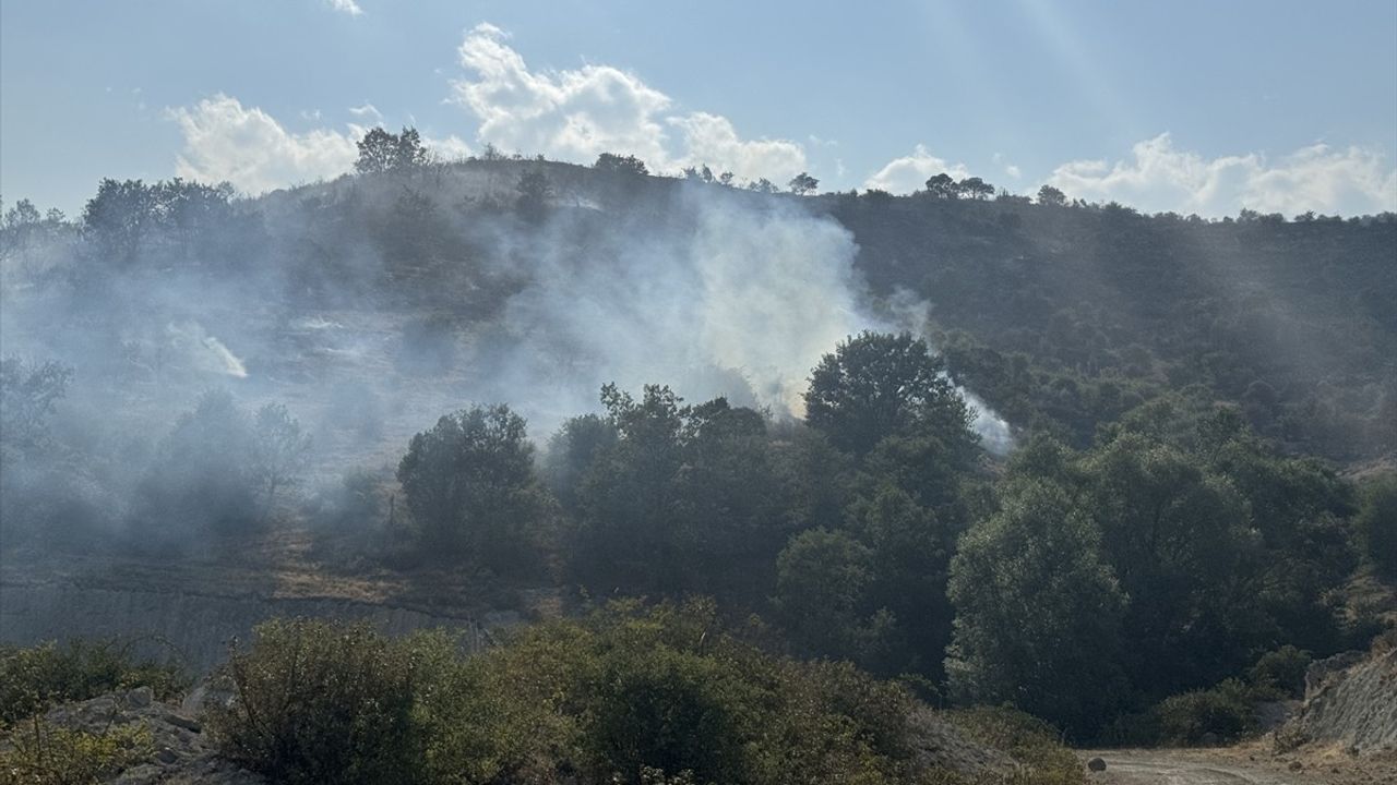 Afyonkarahisar'da Dağlık Alanda Çıkan Yangın Kontrol Altına Alındı